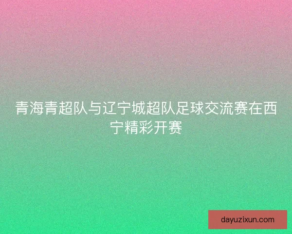 青海青超队与辽宁城超队足球交流赛在西宁精彩开赛