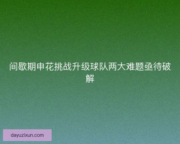间歇期申花挑战升级球队两大难题亟待破解